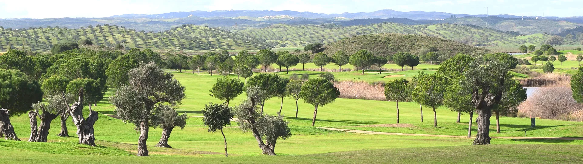 Portugal golf competitions - 1st Border Cup 2024 - Photo 1