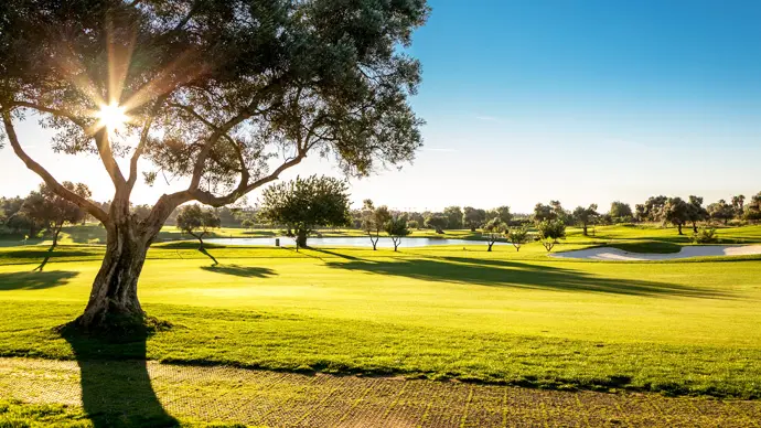 Portugal golf courses - Quinta de Cima Golf Course - Photo 13